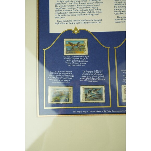 Soviet Union Waterfowl Stamps 1989-1991 | Gold-Framed Display Page | Collectible - Picture 6 of 16